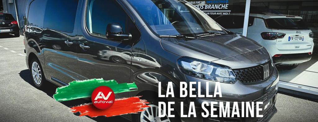LE BELLO SCUDO !